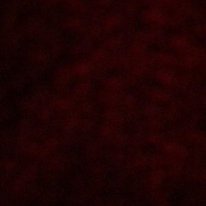 Meet your Posher, Darlys